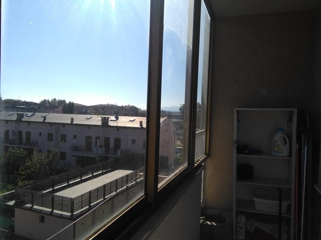 Rovere Pisa